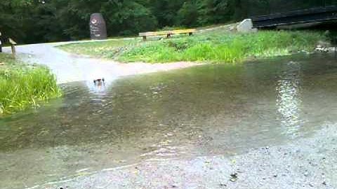 Traxxas Rustler on Water