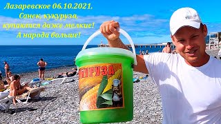 Санек, кукуруза, купаются даже дети! 06.10.2021. Воздух выше не ниже +21.  🌴ЛАЗАРЕВСКОЕ СЕГОДНЯ🌴СОЧИ