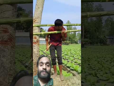 murkh ladka 🤣🤣 #Shorts #funny