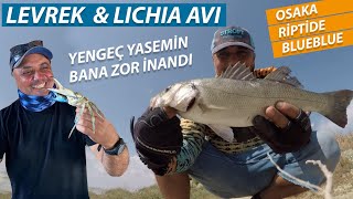 Levrek & Lichia Avında Değişen Havaya Göre 3 Yem Denedim... Sonuç Harika...