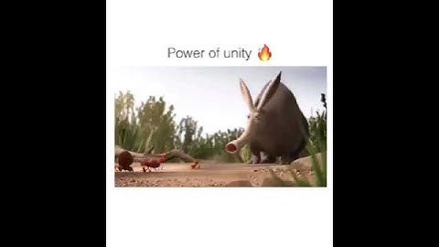 unity 3d