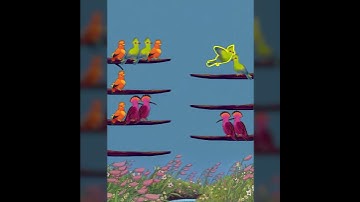 Bird Sort Puzzle 19 (1-1)