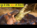 आजतक धरती पर कोई पैदा नही लिया जो Hippo से पंगा ले सके | Why Hippos are the DEADLIEST ANIMALS