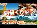 【大人の国内旅行】阿蘇くじゅう観光！まるで海外　想像以上の癒しとグルメが待っていてもっと好きになる！　九州ドライブ旅32 kyushu road trip