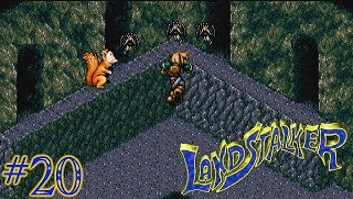 FAIRYVILLE / Landstalker (20)