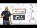 Glycolysis Step 9 - 1-Minute Metabolism