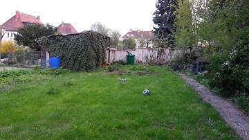 Maiden_MW32_Harakiri