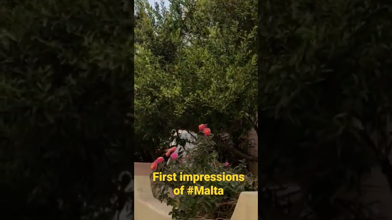 First impressions of 