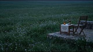 ليل هادي بين الزهور 🌿🌙 | Arabic Sleep Music | Soft Oud for Deep Sleep screenshot 5