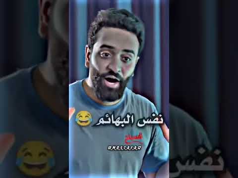 ترى وايد بهايم موجودين هههههه