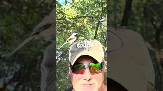 I like birds! Upper Canada Migratory Bird Sanctuary. by Eric Chance Stone 66 views 7 months ago 1 minute, 29 seconds