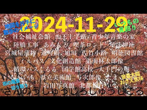 2024-11-29 さんのうじゅうじろじゅうじごろ