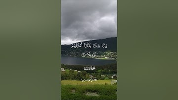 سورة الإنسان - القارئ عمر الدريويز بالمقام العراقي تلاوة مليئة بالراحة والخشوع إستمع ليطمئن قلبك 🌿🧡.