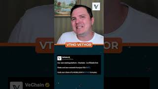 Alpha Alert: VeChain Launches Stargate