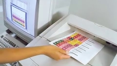 On Demand File Folder Label Print Software Printing Long Color Coded Name Labels