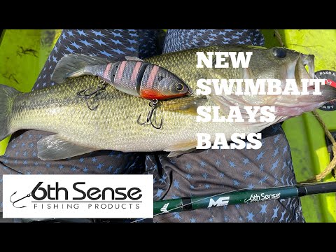 Fishing With The BRAND NEW 6th Sense Trace Swimbait!!! (This Thing Is  SICK!!) 