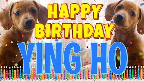 Happy Birthday Ying Ho! ( Funny Talking Dogs ) Wha...