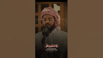 سورة الاحقاف رعد الكردي #رعد_الكردي #سورة_الأحقاف