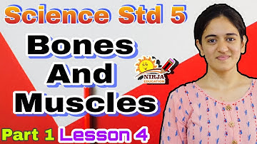 Science std 5   Bones And Muscles  Part 1 - Lesson 4  Class 5 CBSC