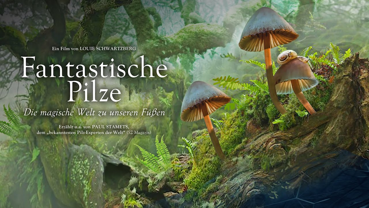 Fantastische Pilze