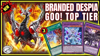 Branded Despia x Darklord Deck with New Support! Full Destroyer Combo Build!