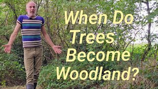 When do trees become woodland?🌳 #treeplanting #reforestation #rewilding #nativetrees #adventure #fun