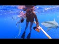 Swimming With SHARKS in Hawaii