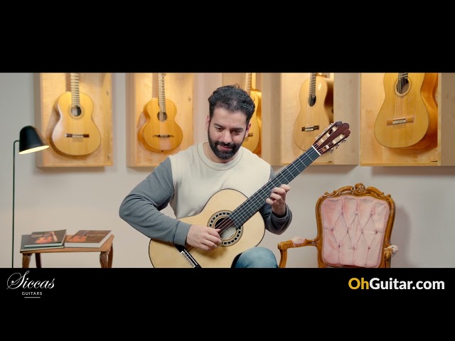Fabio Zontini 2024 Torres Classical Guitar review