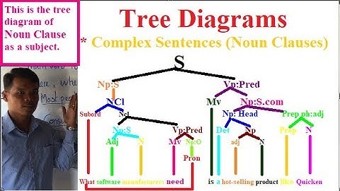 Learning English Grammars: Tree Diagrams (Part 8)