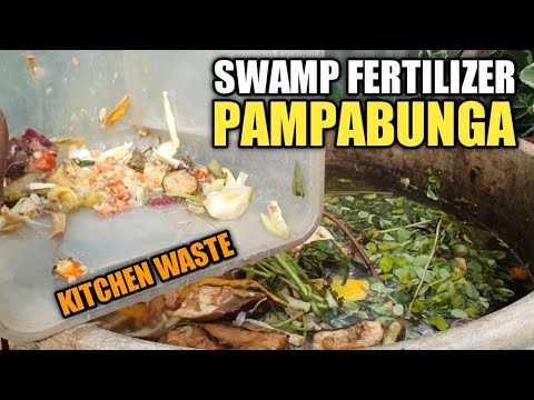 Video: Paano nagpaparami ang porifera nang walang seks?