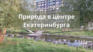 картинка: Набережная Исети в Екатеринбурге | Новое благоустройство 2025 | Природа в центре города