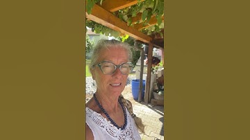 Growing grapes #shorts #shortvideo