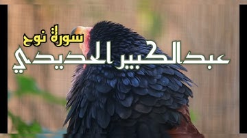 فقلت استغفروا ربكم - سورة نوح بالأداء الخاشع والرائع للشيخ عبدالكبير الحديدي
