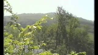 Дача 1995