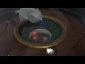 Dice gambling game machine - YouTube