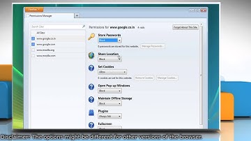 Mozilla® Firefox: Let certain websites save password, cookies etc. in Vista