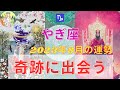 山羊座さん♑️⭐️奇跡に出会う8月⭐️本当に愛があったんだ💖⭐️奇跡ってあったんだ⭐️