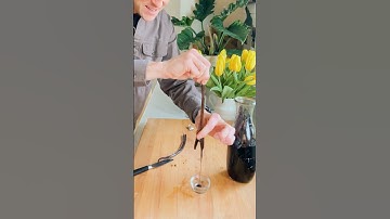 What do you do with vanilla beans after making extract?