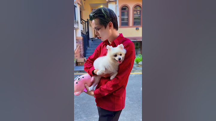 白天使抛弃了小狗吗。#天使 #小丑 #超人不会飞