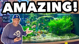 Aquarium Store Tour in L.A.! screenshot 2