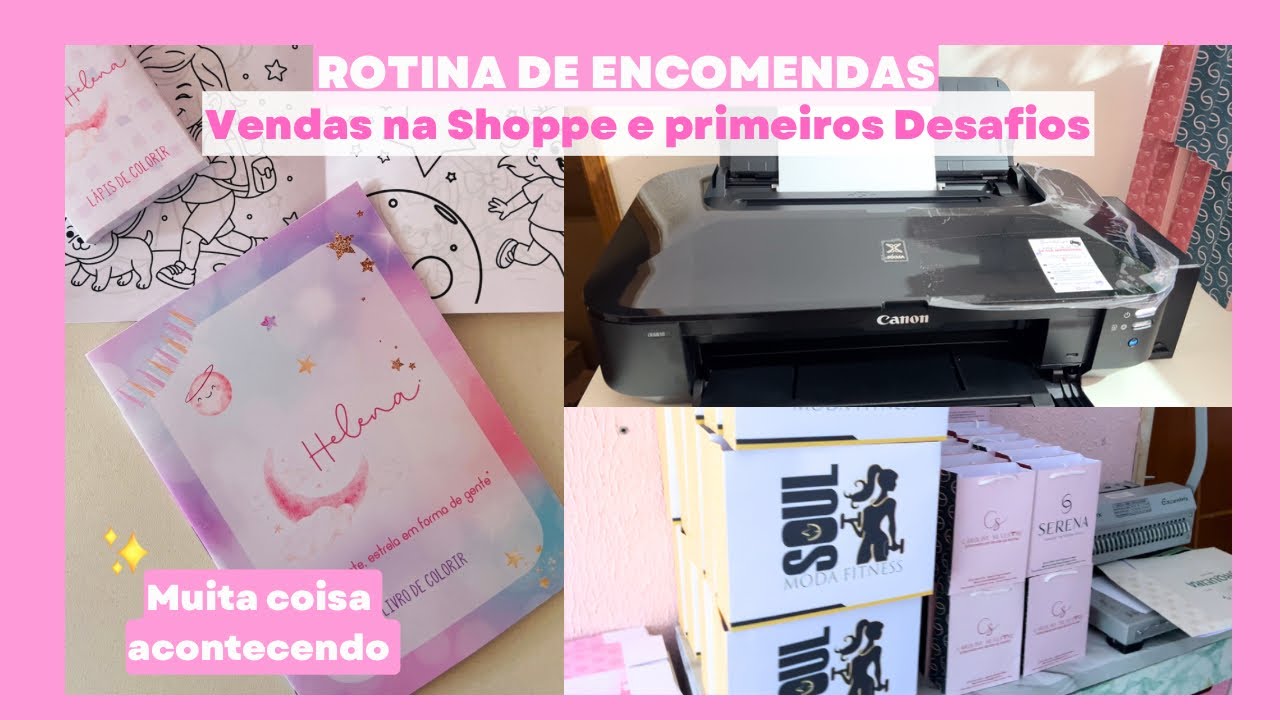Vendas de Sacolas na Shoppe/ Impressora Nova/ Muitos Desafios e descobertas