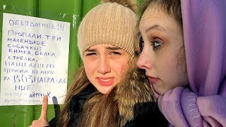 Диана и Капа ИЩУТ СОБАК! НАГРАДА IPHONE X(, 2018-03-06T04:00:00.000Z)