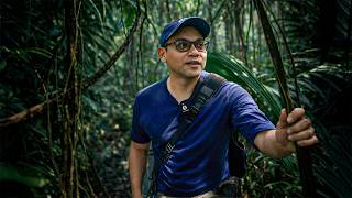 Me METÍ a la SELVA MAYA de PETÉN a buscar respuestas...