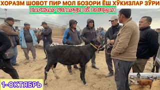 картинка: ХОРАЗМ ШОВОТ ПИР МОЛ БОЗОРИ ЁШ ХЎКИЗЛАР ЗЎРИ НАРХЛАР УЗГАРДИ ОЙ БОШДАН 1-ОКТЯБРЬ 2025 г.