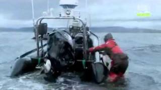 Prop Killers - Wetness.org