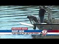 Plane crashes into the Lake of the Ozarks
