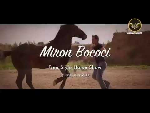 Miron Bococi - Free Style Horse Show 🐎 Far away 🎵