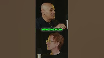 Quantum Biology: Birds Use Entanglement to Navigate?!