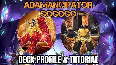 Adamancipator GOGOGO Deck Profile & Combo Tutorial ||  February 2025