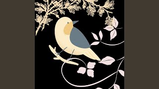 Download Lagu Kicau Burung Jalak Panjang Download Lagu Kicau Burung Jalak Panjang